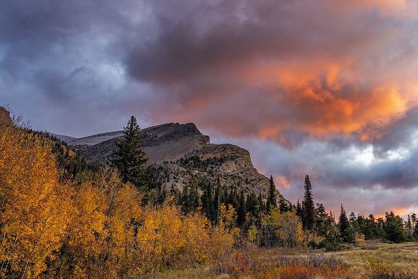 Haney, Chuck 아티스트의 Sunrise clouds over Bear Mountain in Glacier National Park-Montana-USA작품입니다.